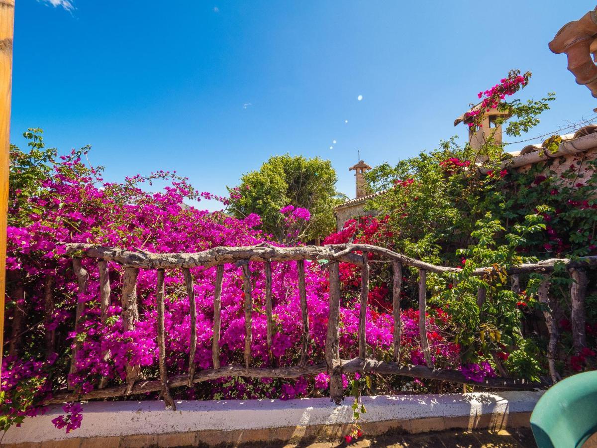 Can Cap De Bou By Alquilair Vakantieboerderij Pollença